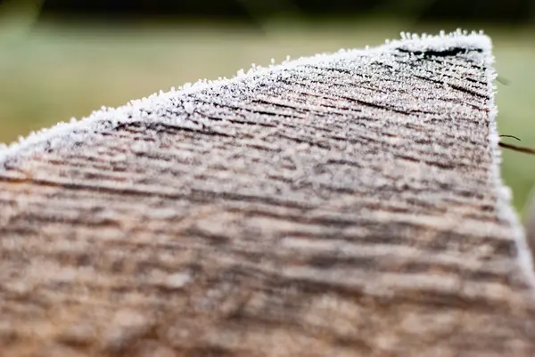 Cristalli di ghiaccio su un troncone in inverno — Foto Stock