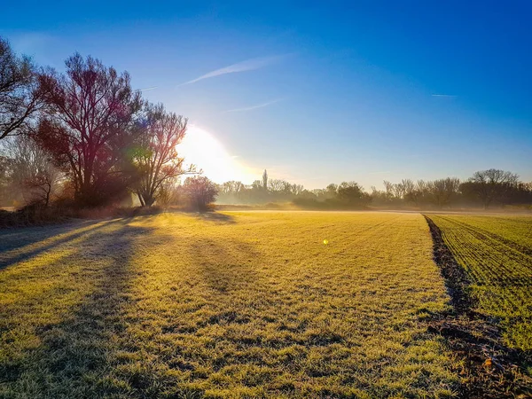 Alba sul campo — Foto Stock