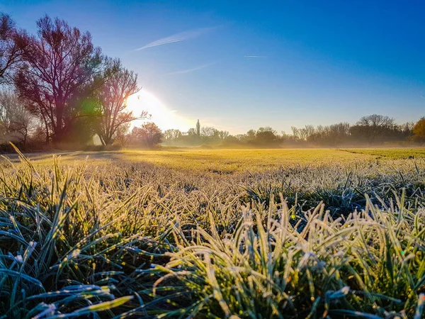 Närbild av dagg på gräset på ett grönt fält medan solen går upp — Stockfoto