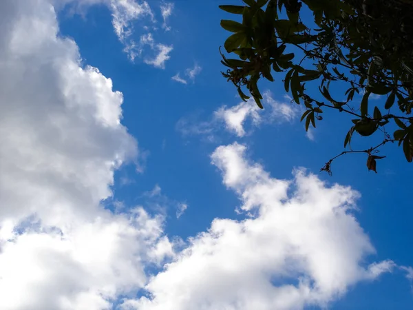 Ein alter Turm vor dem blauen Himmel — Stockfoto