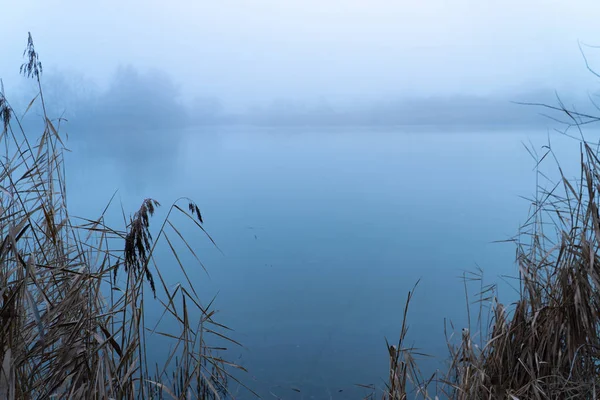 Olhando para um lago azul na palheta de nevoeiro — Fotografia de Stock