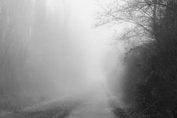 霧の中をまっすぐ歩く男-いいえ色 ストック写真