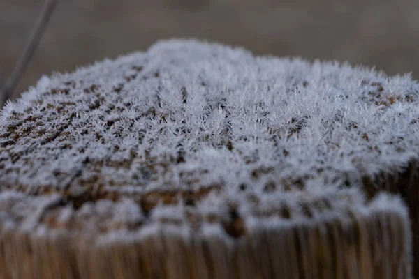 Close-up de cristais de gelo em madeira pela manhã — Fotografia de Stock