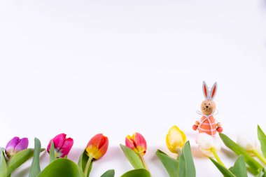 Renkli laleler beyaz arka planda bir Paskalya tavşanı ile bir sırada duruyor.