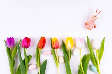 Paskalya yumurtaları ve beyaz arka planda fotokopi alanı olan Paskalya tavşanı ile aynı sırada uzanan renkli laleler.