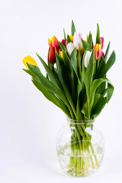 Kilka Kolorowych Tulipanów Wazonie Białym Tle — Zdjęcie stockowe