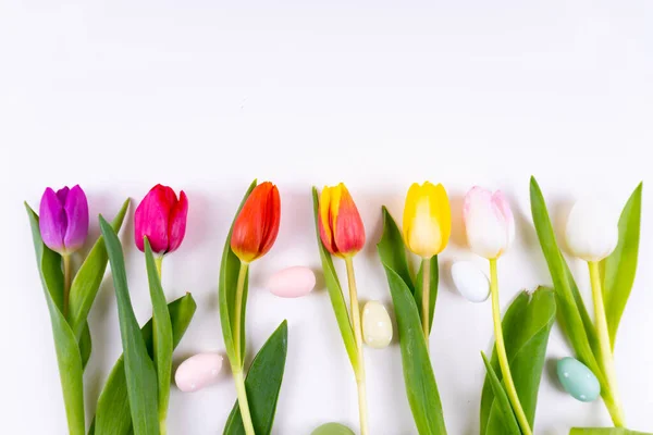Kolorowe Tulipany Składające Się Rzędu Pisankami Białym Tle Przestrzenią Kopiowania — Zdjęcie stockowe
