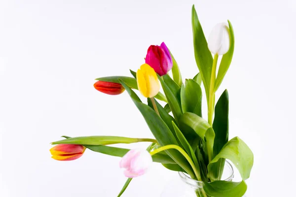 Kolorowe Tulipany Wazonie Białym Tle — Zdjęcie stockowe