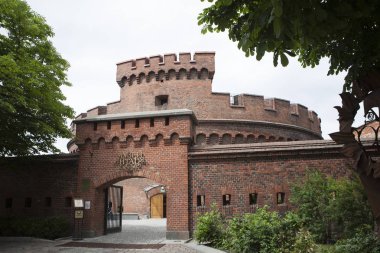 Kaliningrad, Kaliningrad Oblastı, Rusya (Koenigsberg, Doğu Prusya)