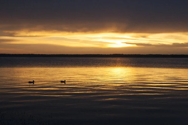 Lac Rekiva Siauliai Lituanie Coucher Soleil — Photo