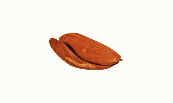 One Almond Nut Out White Background Peeled Almonds Brown Beige — 스톡 사진