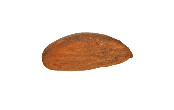 One Almond Nut White Background Peeled Almonds Brown Beige White — 스톡 사진