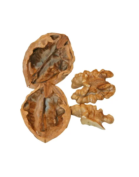 Pähkinä Näkyy Läheltä Pähkinänosat Kuoret Syötävät Pähkinät Pähkinä Valkoisella Pohjalla — kuvapankkivalokuva