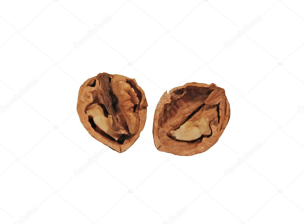 The walnut is visible up close.   The walnut split in half.  Walnut on a white background, you can see the partitions and parts of the walnut tree.   White background with nuts. The two parts of the nut with the parts of the fetus.