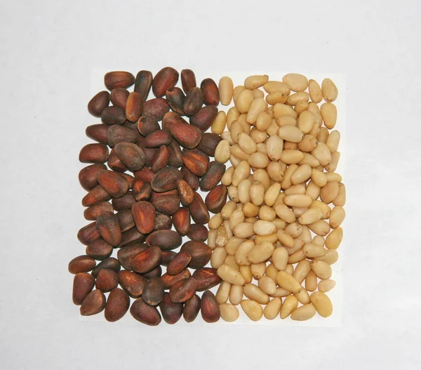 Pine Nuts Laid Out Next Contrast Next Brown Beige Large — Stock Photo, Image