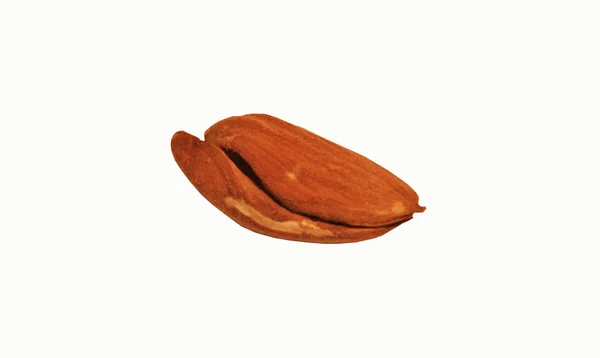 Peeled Almonds Almond Brown Oval Shape White Background One Almond — 스톡 사진