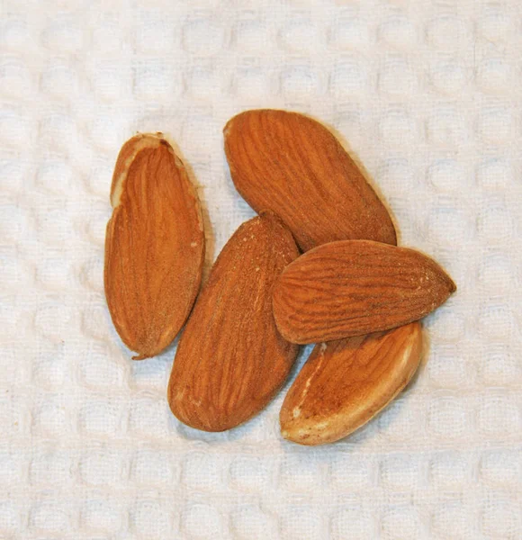 Five Peeled Almonds White Background Texture Pattern Nut Visible Almonds — 스톡 사진