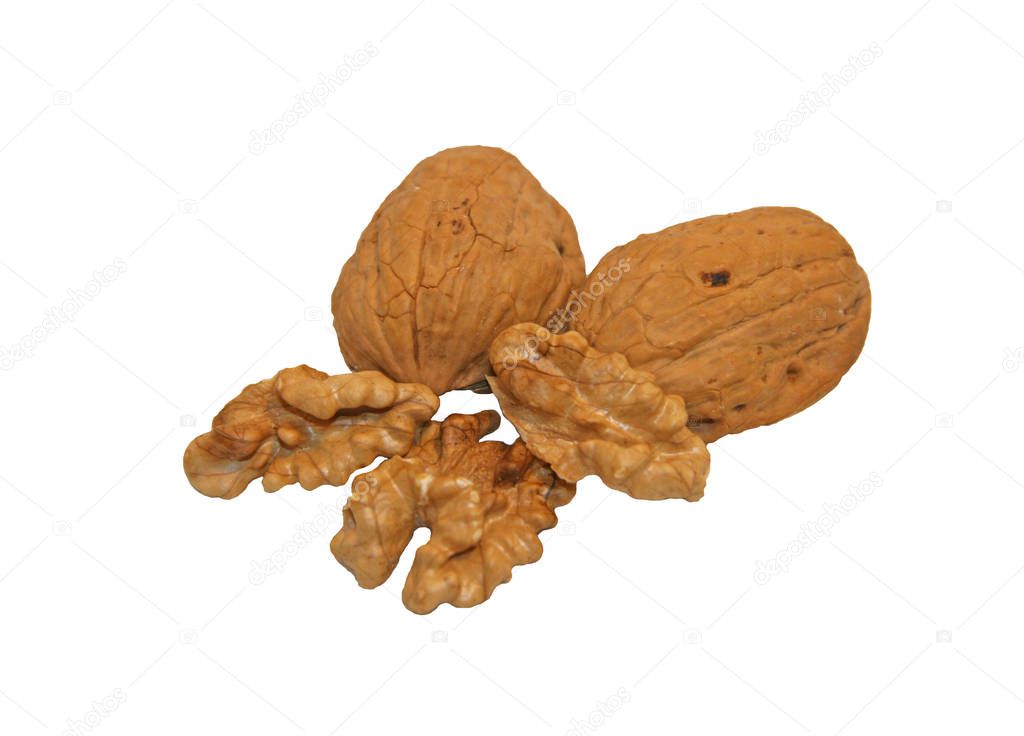 The walnut is visible up close.   Walnut parts, shells, and edible nuts.   Walnut on a white background, you can see the partitions and parts of the walnut tree.   White background with nuts.  Parts of the nut inside with the fruit pulp.