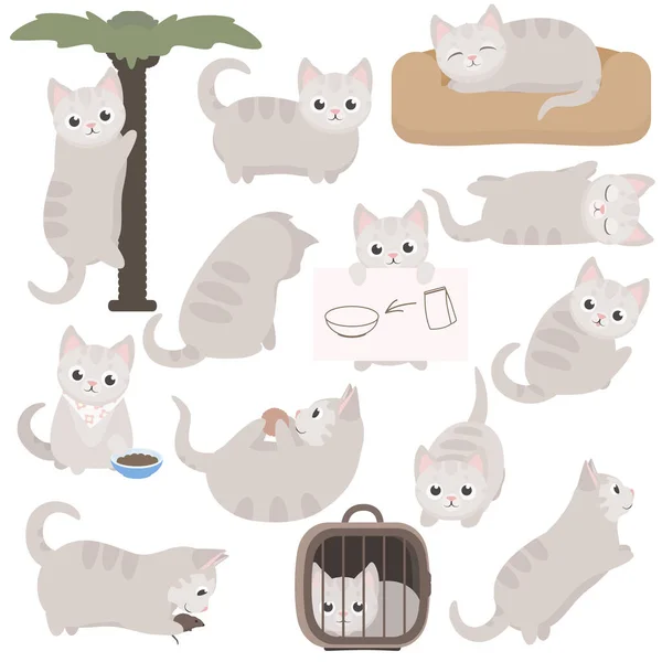 Carino personaggio gatto cartone animato in pose diverse. Illustrazioni vettoriali isolate su sfondo bianco . — Vettoriale Stock