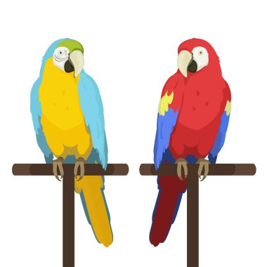 Ara papağanı. Makaw. Kırmızı papağan ve mavi ve sarı papağanın tünekte otururken ki vektör karikatür çizimi. Beyaz arkaplanda izole.