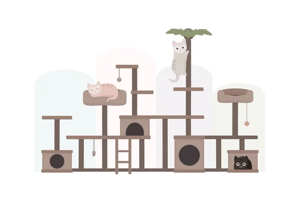 Carino simpatici gatti dei cartoni animati sulla casa del gatto. Illustrazione vettoriale stock per gatto caffè e rifugio per animali. Affilatrice artiglio, vettore punto artiglio . — Vettoriale Stock