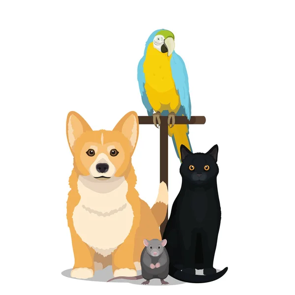 Casa animali vettoriale illustrazione. Gatto, cane, pappagallo e topo isolati su animali domestici bianchi . — Vettoriale Stock