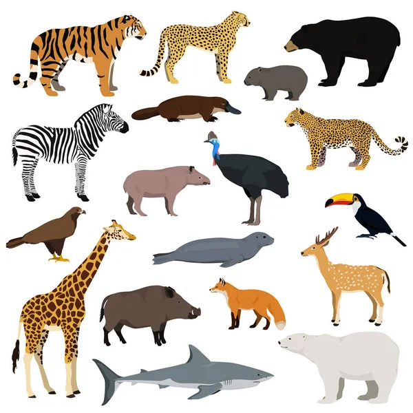 Big animal collection. Vector set of wild animals, birds, fish. Isolated on white background. — Stock Vector