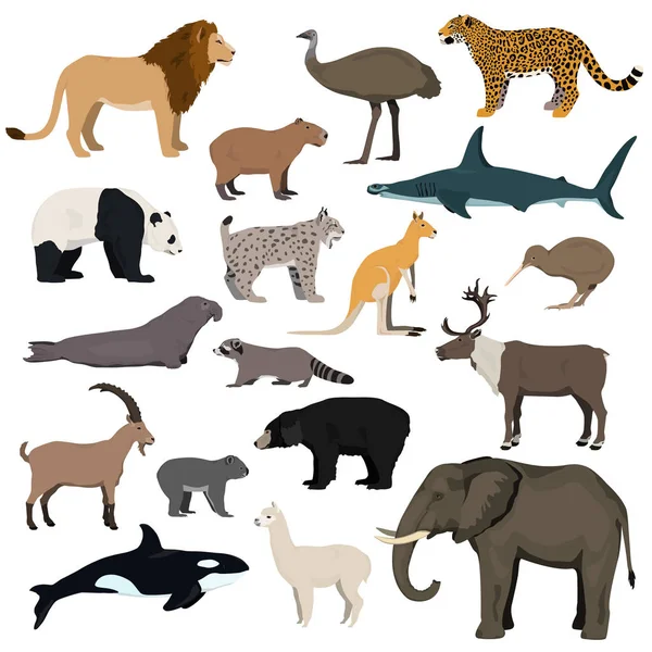 Big animal collection. Vector set of wild animals, birds, fish. Isolated on white background. — Stock Vector