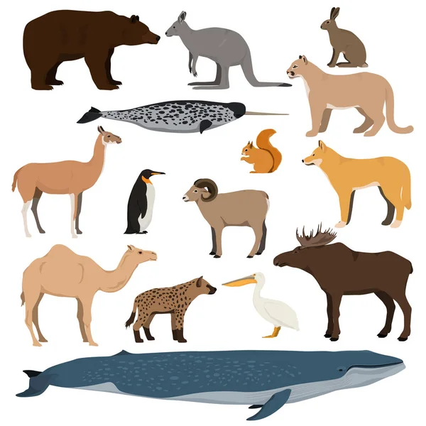 Big animal collection. Vector set of wild animals, birds, fish. Isolated on white background. — Stock Vector