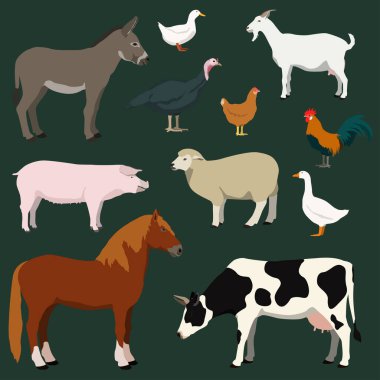 Cartoon farm animals and poultry vector set. Illustration of horse, cow, sheep, goat, donkey, pig, turkey, chicken, rooster, duck, goose.