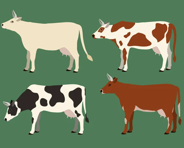 Cows of different colors set. Vector illustration. — Stock vektor