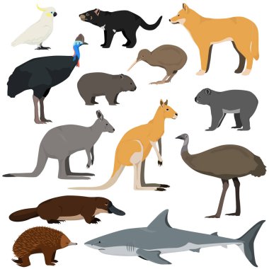 Avustralya çizgi filmlerindeki hayvanlar. Kırmızı kanguru, gri kanguru, ornitorenk, dingo, beyaz köpekbalığı, koala, Tazmanya canavarı, emu, echidna, cassowary, kiwi, papağan, wombat.