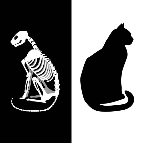 Schrodingers gato vector ilustración . — Vector de stock