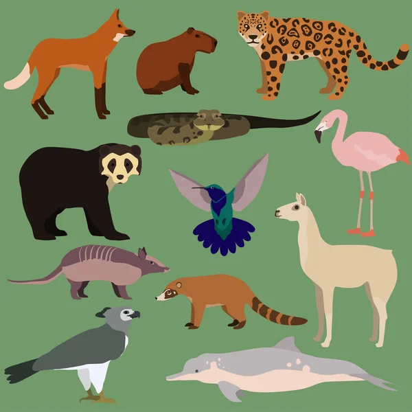 Conjunto vectorial de dibujos animados de animales sudamericanos . — Vector de stock