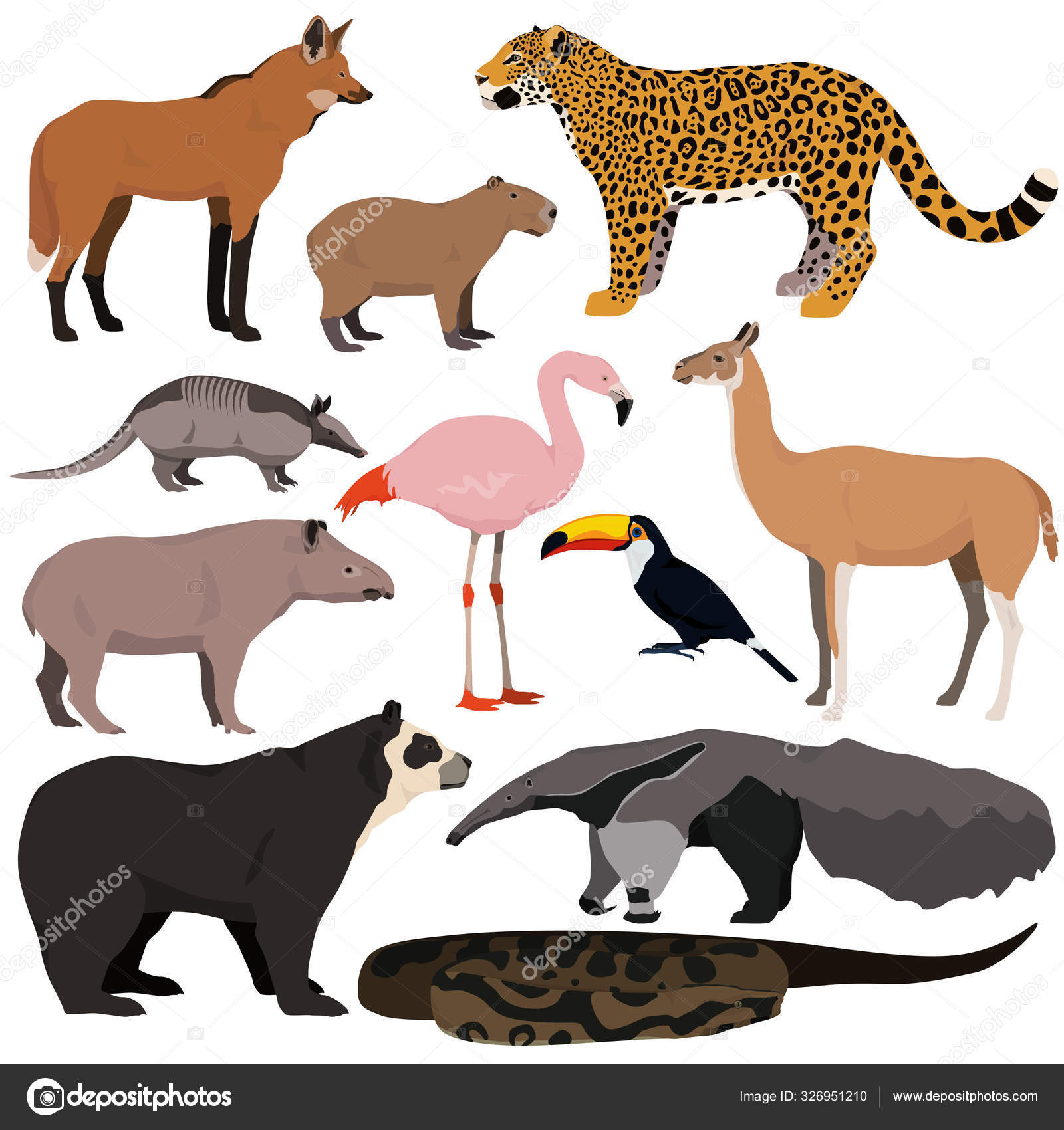 JAN – JUN, image size:1600x1700