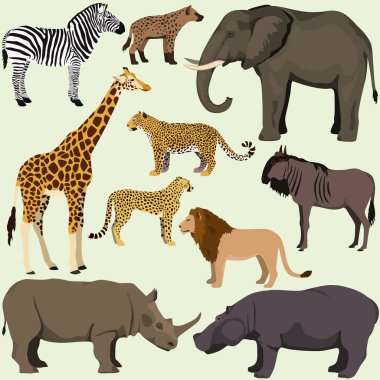 karikatür Afrika Hayvanlar vektör kümesi. 