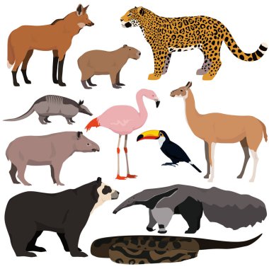 Güney Amerika hayvanlarının vektör kümesi. Jaguar, anakonda, flamingo, yaban kurdu, tapir, capybara, karıncayiyen, armadillo, tukan, guanaco, gözde ayı..