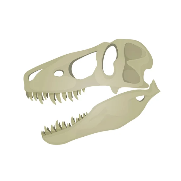 Vektor illustration av Tyrannosaurus Rex skalle. — Stock vektor