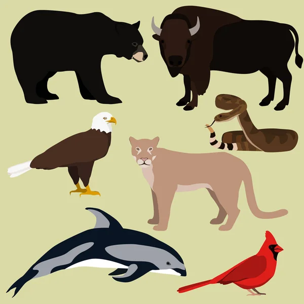 Векторний набір мультфільмів північноамериканських тварин.. — стоковий вектор