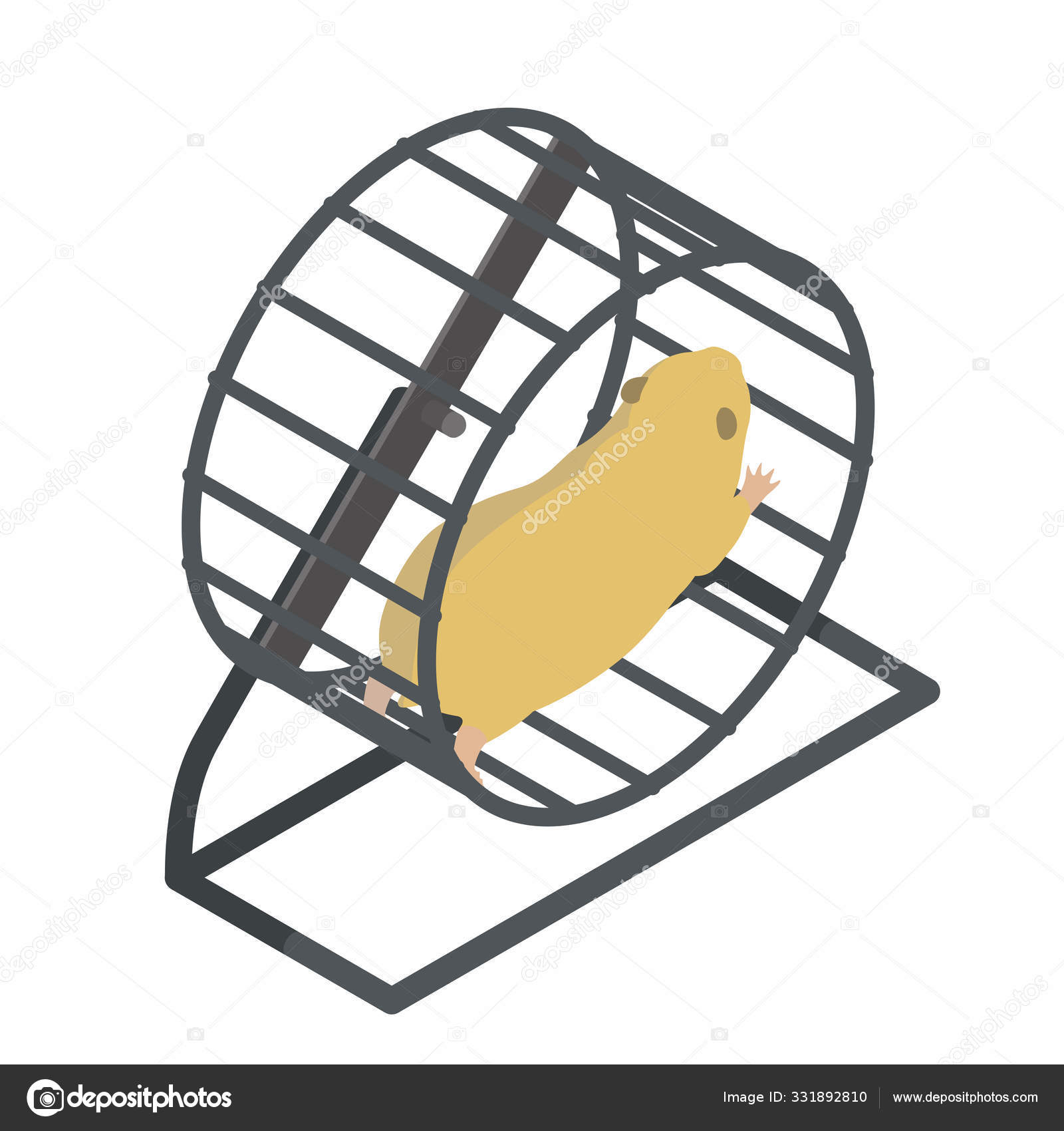 bird hamster wheel