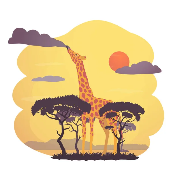 Ilustración vectorial jirafa africana. Escena de fantasía con una jirafa comiendo una nube sobre la sabana . — Archivo Imágenes Vectoriales