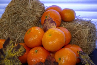 Süsleme olarak saman ve sonbahar yapraklı mandalinalar