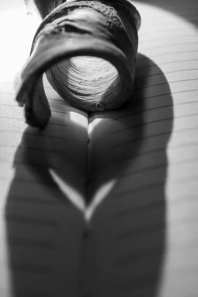 Pieza de madera retorcida proyecta una sombra en forma de corazón — Foto de Stock