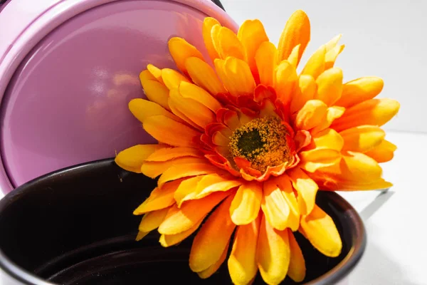 Stoffblume einer Chrysantheme auf einer Kinderbackform — Stockfoto