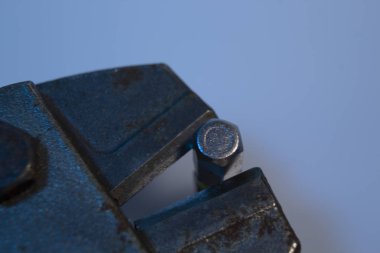 Kerpetenin makro görüntüsü