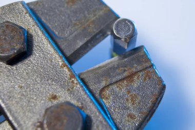 Kerpetenin makro görüntüsü