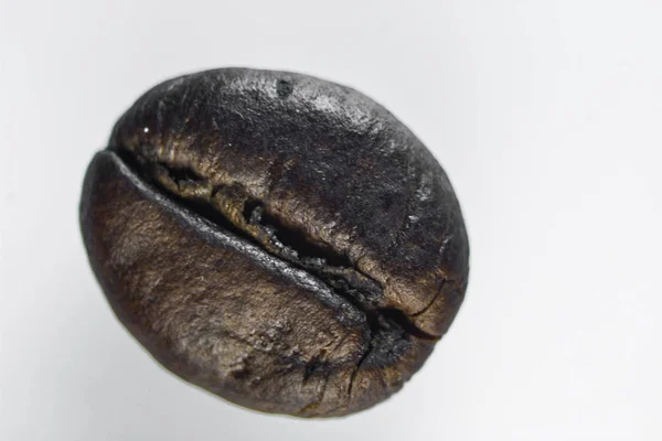 Macro image of a roasted coffee bean — Stock Photo, Image