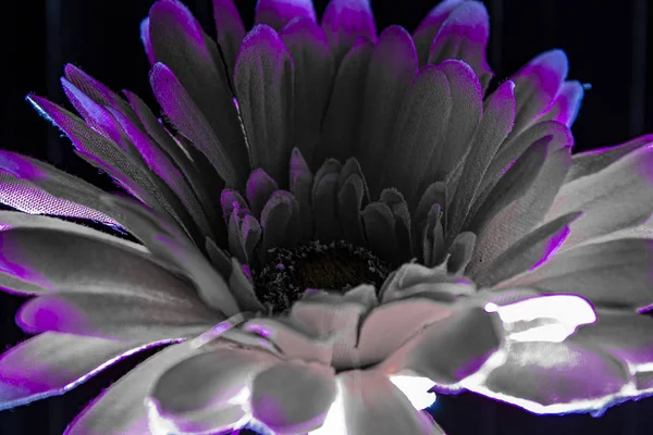 Blütenblätter der Stoffblume setzen sich mit leichten Akzenten in Szene — Stockfoto