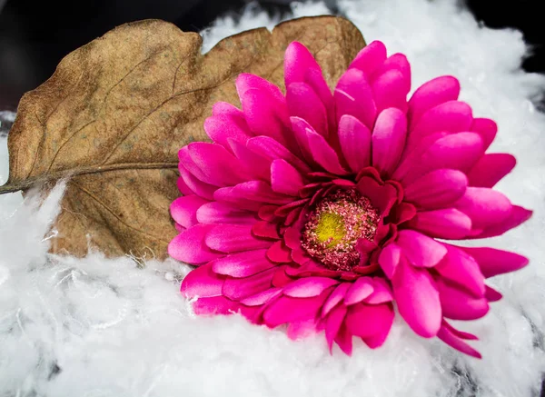 Petals of a fabric flower next to autumn leaf and artificial sno — Stock Photo, Image