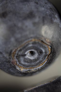 Taze toplanmış yaban mersininin makro resmi